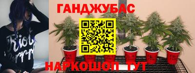 кокаин Будённовск
