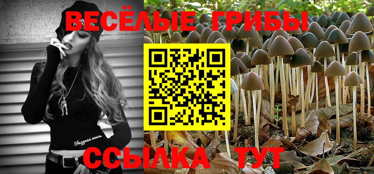 Псилоцибиновые грибы мухоморы Конаково